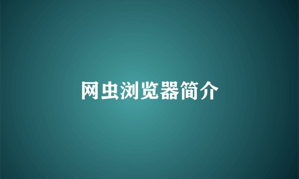 网虫浏览器简介