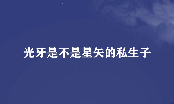 光牙是不是星矢的私生子