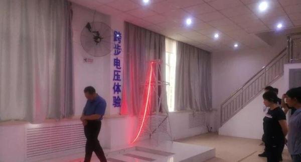 海南东方一声惊雷42头牛毙命，放牧人却没事，这是为什么？