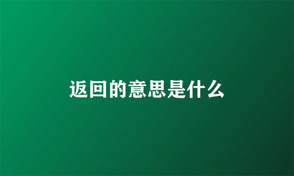 返回的意思是什么