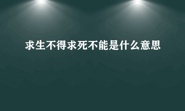 求生不得求死不能是什么意思