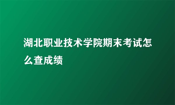 湖北职业技术学院期末考试怎么查成绩