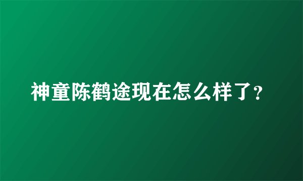 神童陈鹤途现在怎么样了?