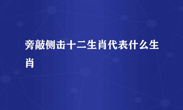 旁敲侧击十二生肖代表什么生肖