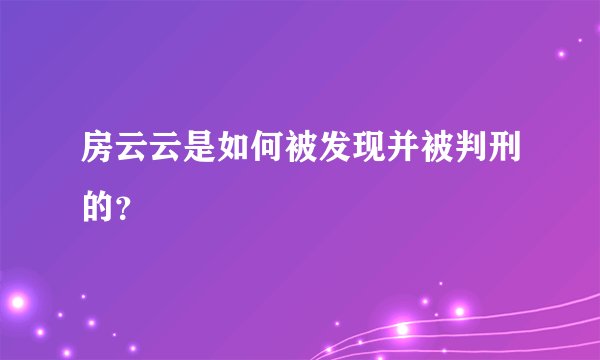 房云云是如何被发现并被判刑的？