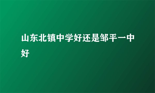 山东北镇中学好还是邹平一中好