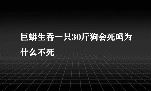 巨蟒生吞一只30斤狗会死吗为什么不死