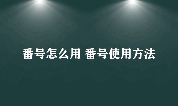 番号怎么用 番号使用方法