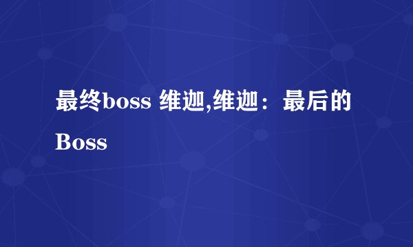 最终boss 维迦,维迦：最后的Boss
