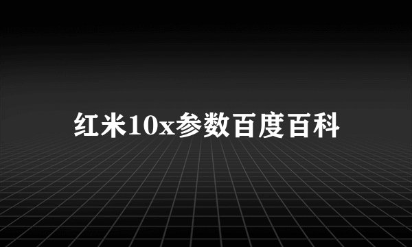 红米10x参数百度百科