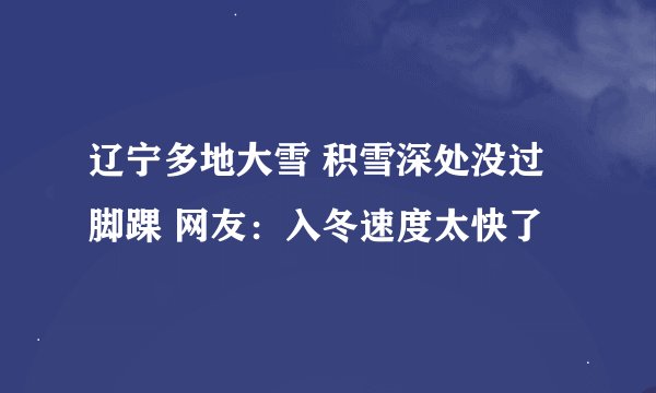 辽宁多地大雪 积雪深处没过脚踝 网友：入冬速度太快了