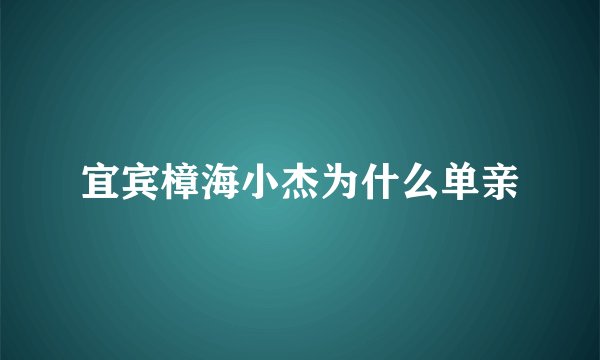 宜宾樟海小杰为什么单亲