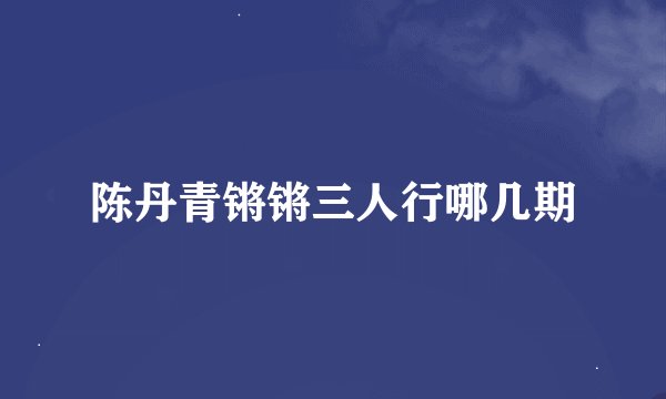 陈丹青锵锵三人行哪几期