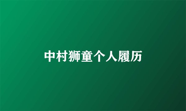 中村狮童个人履历