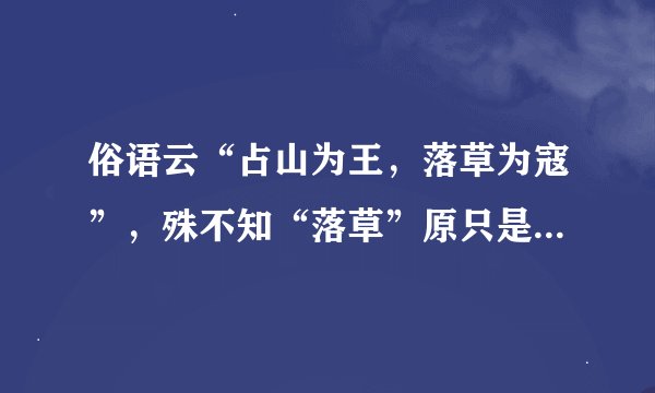 俗语云“占山为王,落草为寇”,殊不知“落草”原只是满族习俗
