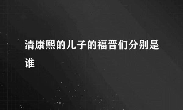 清康熙的儿子的福晋们分别是谁
