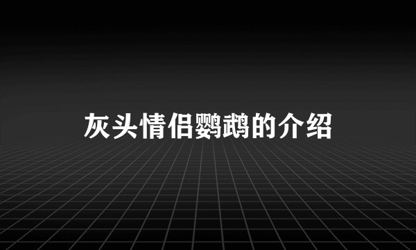 灰头情侣鹦鹉的介绍
