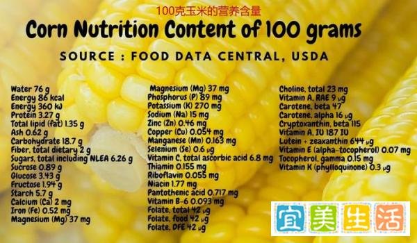 世界十大玉米生产国排行榜,中国排第二,最大玉米生产国是哪个?