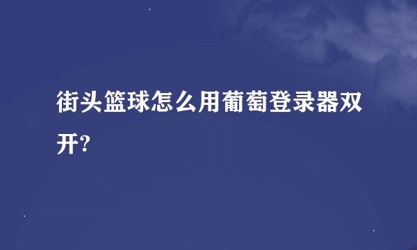 街头篮球怎么用葡萄登录器双开?