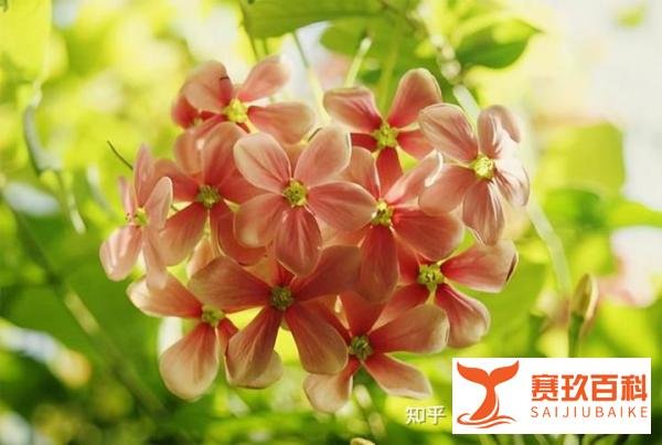 当你一无所有的时候，才知道谁最爱你