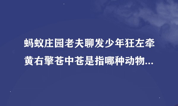 蚂蚁庄园老夫聊发少年狂左牵黄右擎苍中苍是指哪种动物 zi7安卓资讯