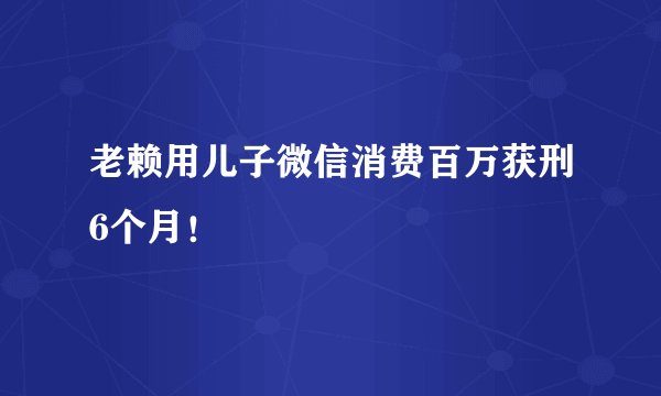 老赖用儿子微信消费百万获刑6个月！