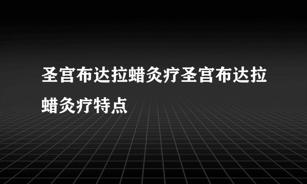 圣宫布达拉蜡灸疗圣宫布达拉蜡灸疗特点