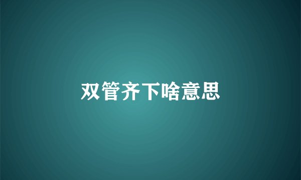 双管齐下啥意思