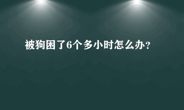 被狗困了6个多小时怎么办？