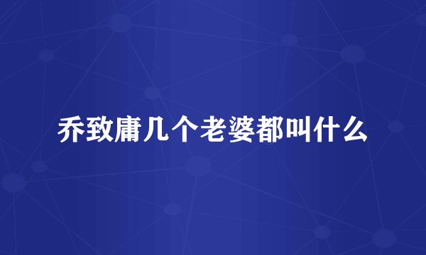 乔致庸几个老婆都叫什么