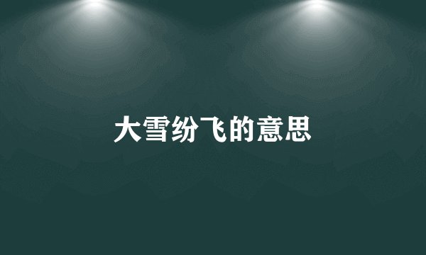 大雪纷飞的意思
