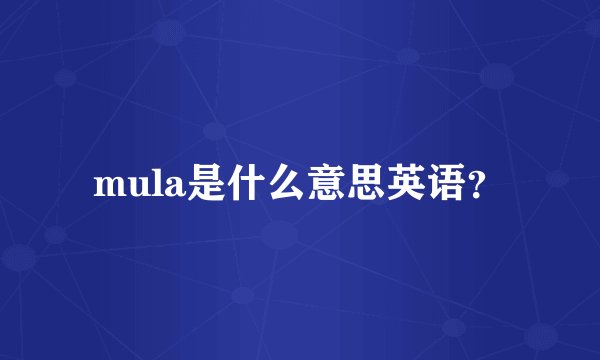 mula是什么意思英语？
