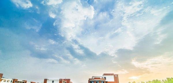 【校园指南】山东科技大学查成绩篇