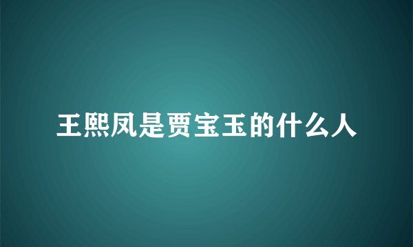 王熙凤是贾宝玉的什么人