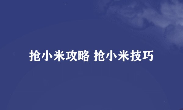 抢小米攻略 抢小米技巧