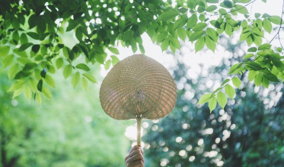 夏天来了把句子补充完整怎么补充？