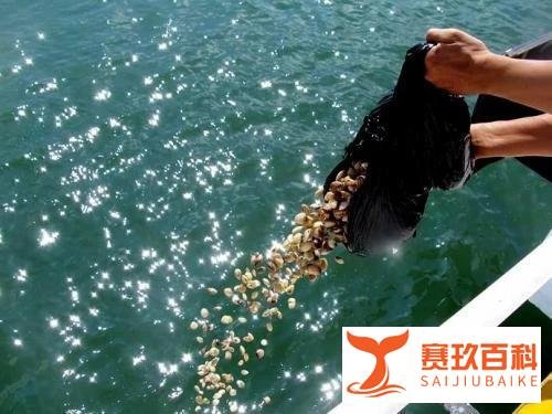 网红夫妇因钓鱼溺亡，年仅31岁（千万不要把钓鱼当做兴趣爱好）