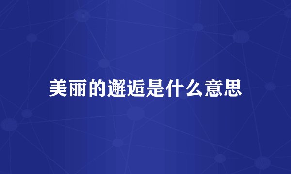 美丽的邂逅是什么意思