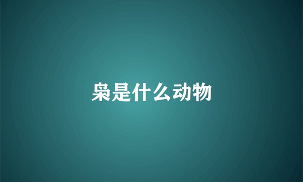 枭是什么动物