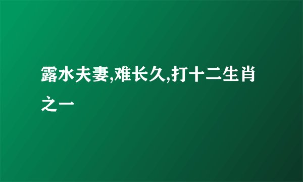 露水夫妻,难长久,打十二生肖之一