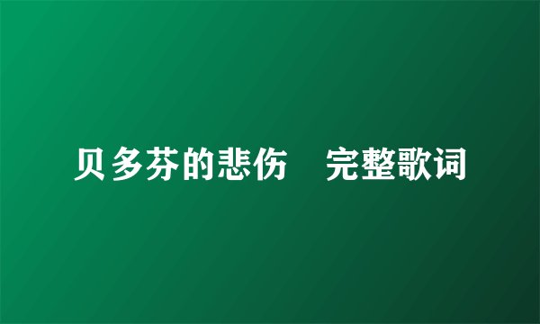 贝多芬的悲伤 完整歌词