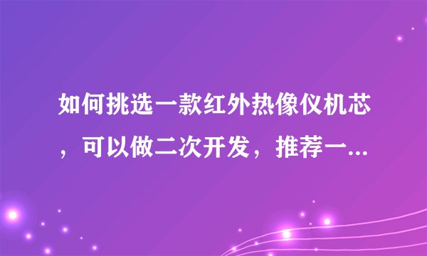 如何挑选一款红外热像仪机芯，可以做二次开发，推荐一下公司？