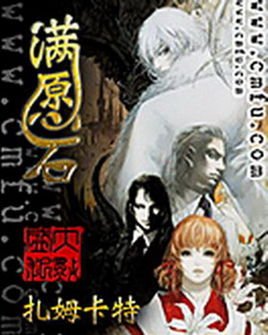 满愿石的内容简介