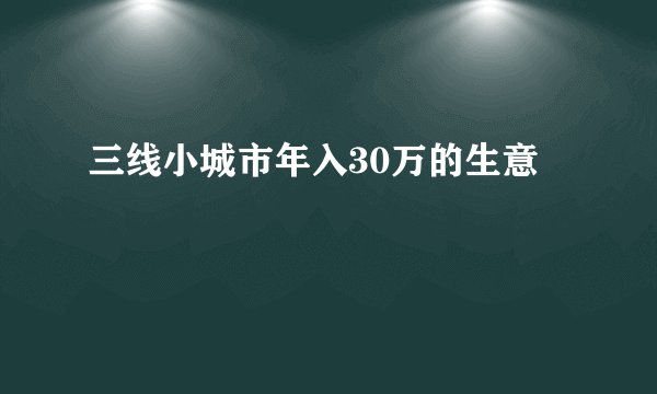 三线小城市年入30万的生意