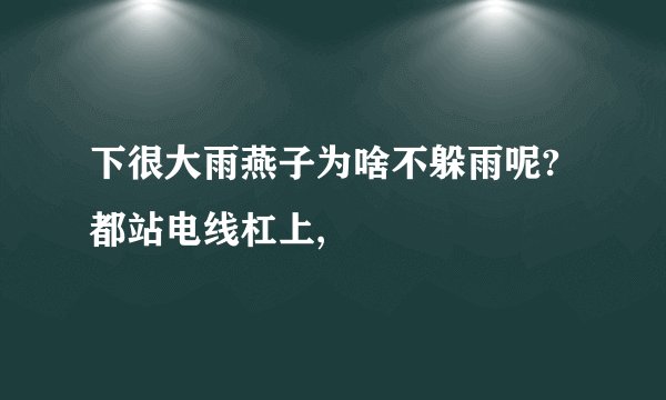 下很大雨燕子为啥不躲雨呢?都站电线杠上,