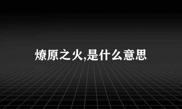 燎原之火,是什么意思