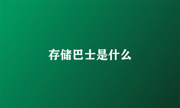 存储巴士是什么