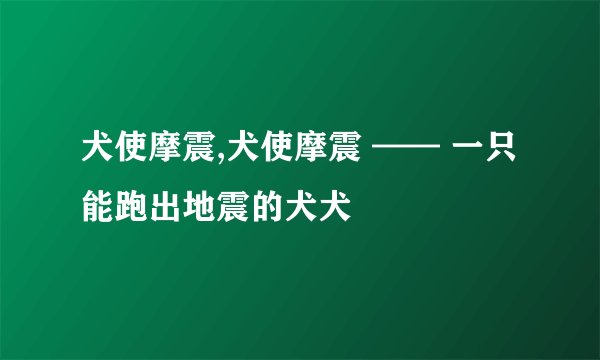 犬使摩震,犬使摩震 —— 一只能跑出地震的犬犬