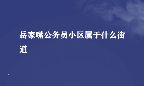 岳家嘴公务员小区属于什么街道