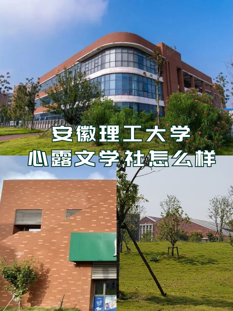 安徽理工大学心露文学社怎么样